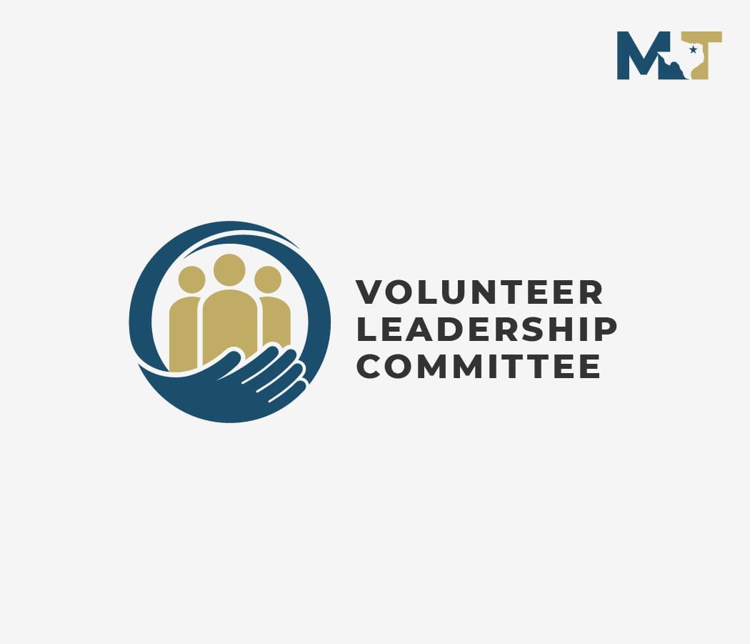 Volunteer Leadership Development Committee