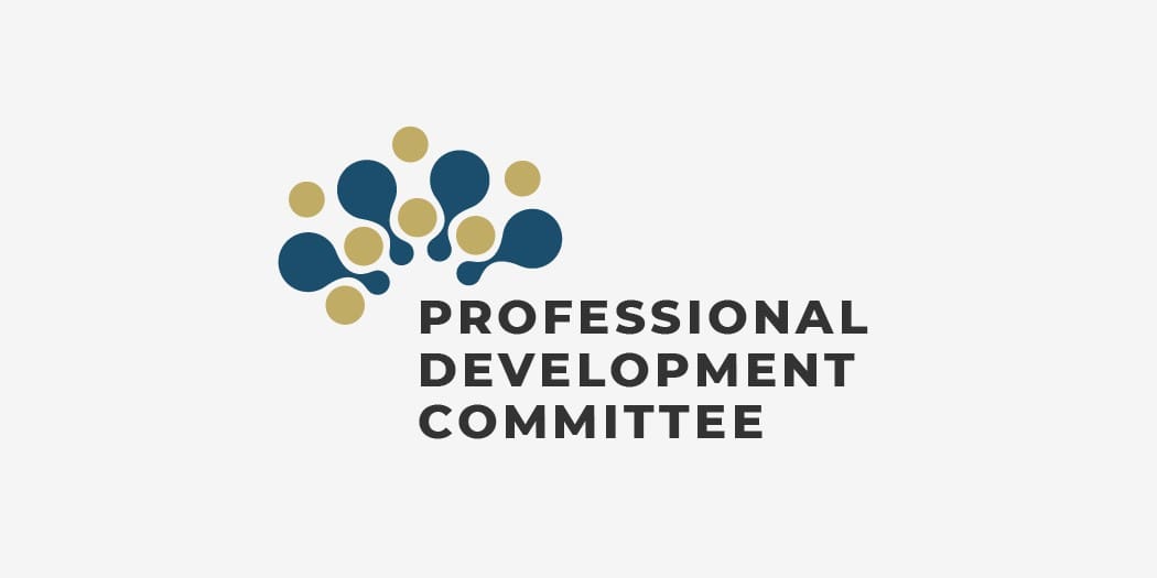 professional development